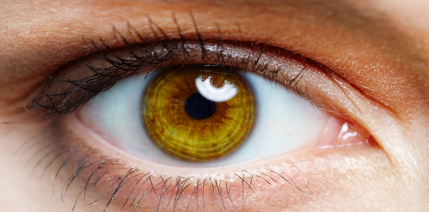 Die Augen gelten schon lange als Spiegelbild der Seele, ob sie nun feurig glänzen oder trübe dreinblicken, fast alle Emotionen werden über den Blick ausgetauscht.